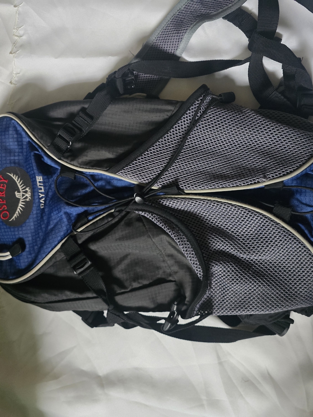 OSPREY Black and Blue Daypack Backpack